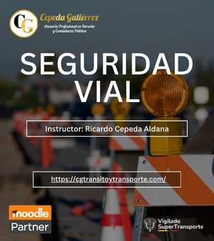 SEGURIDAD VIAL