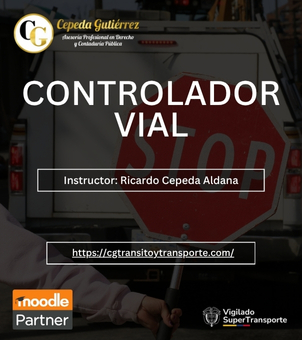 CONTROLADOR VIAL
