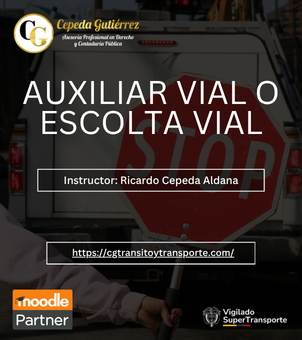AUXILIAR VIAL