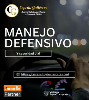 MANEJO DEFENSIVO